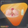Realistic 3 in 1 Vagina Mouth Breast BAV-012